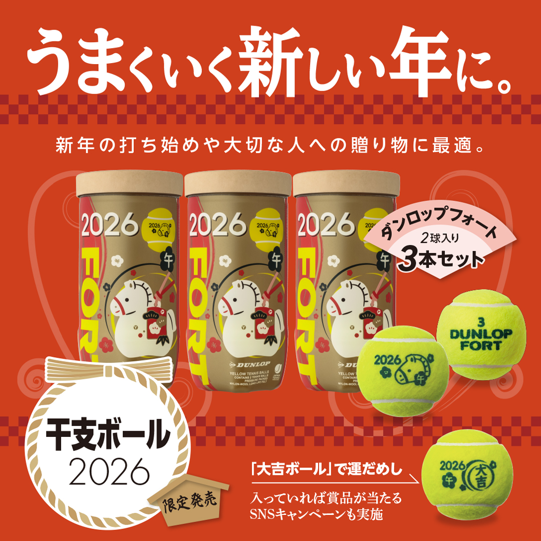 テニスボール 2025年8月大会使用のセットボール 101球 テニスボール 2025年8月大会使用のセットボール 101球 テニスボール 2025