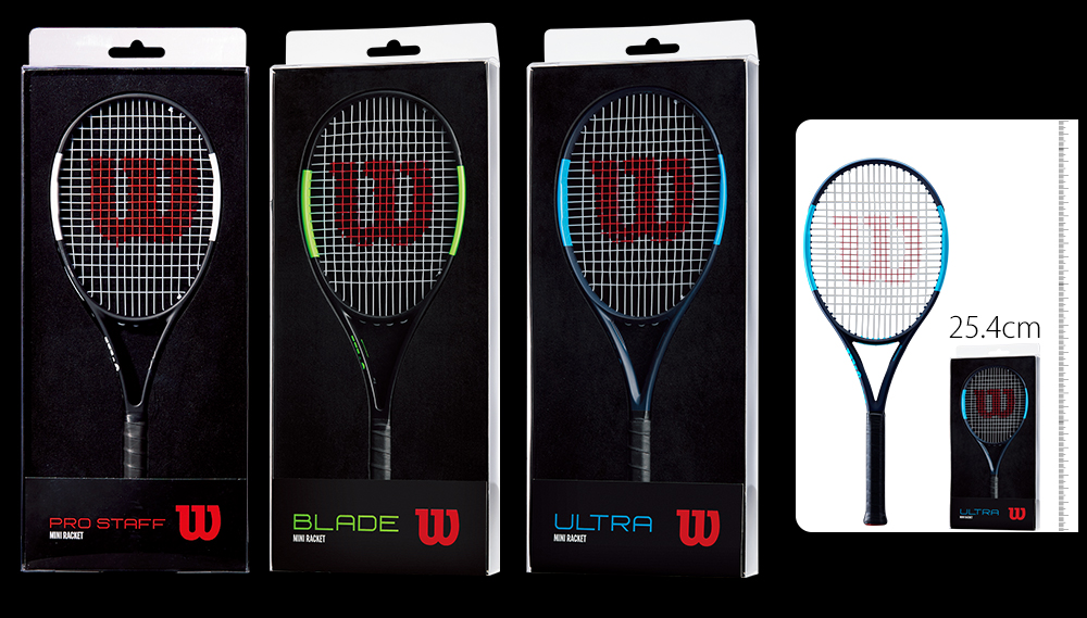 コレクターズアイテム? イメトレ用!? 全長10インチのミニチュア